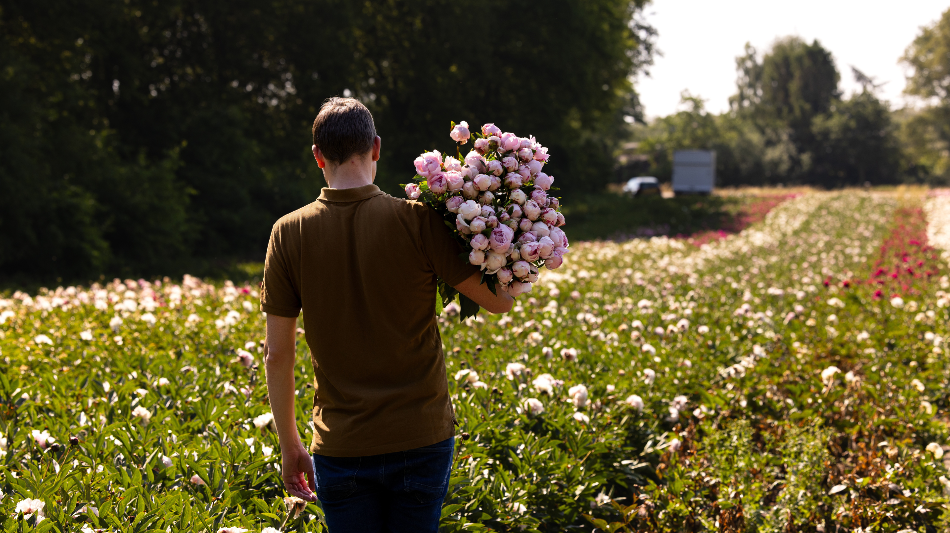 5 pioenrozen om van te plukken