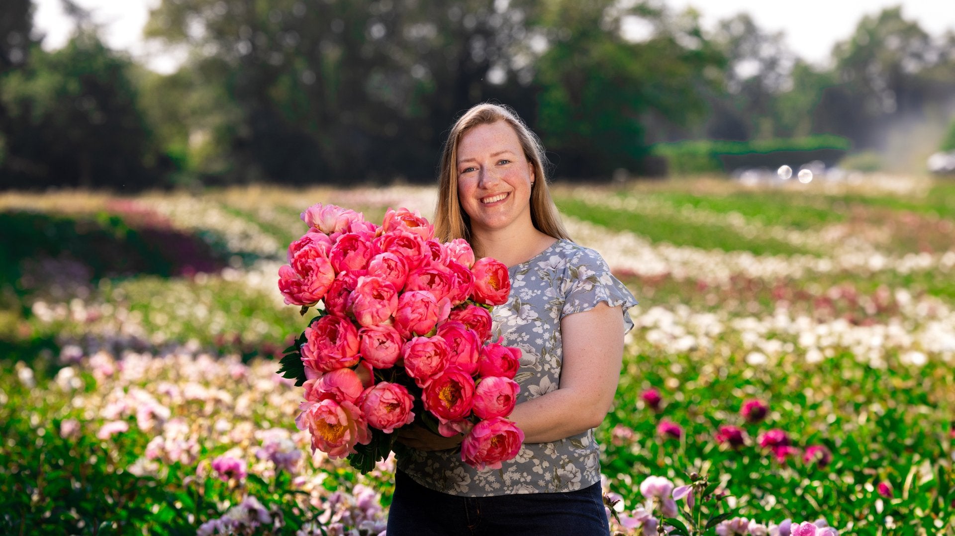 Pioenrozen in de pluktuin