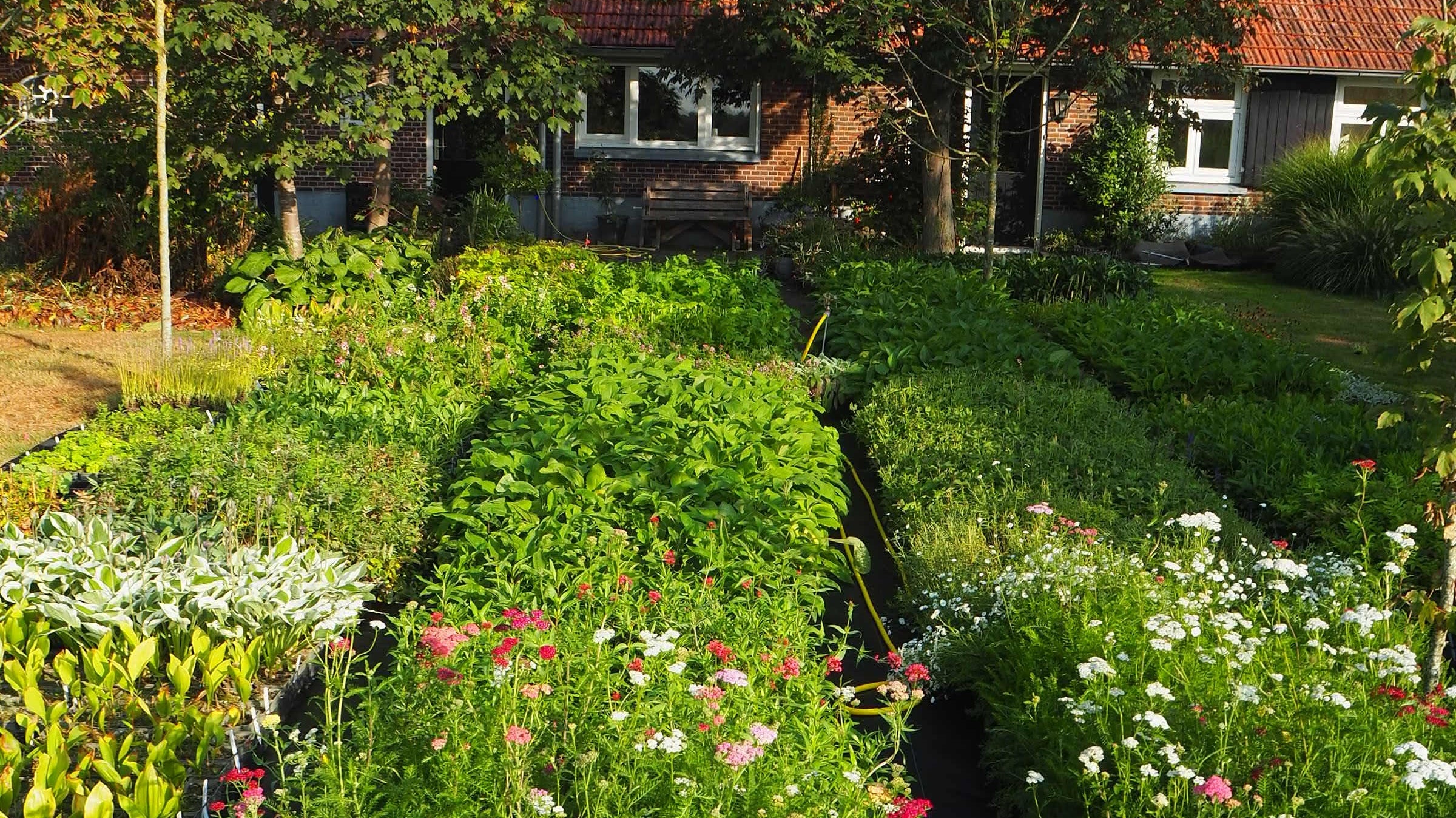 Wij zijn verhuisd! Een persoonlijke update