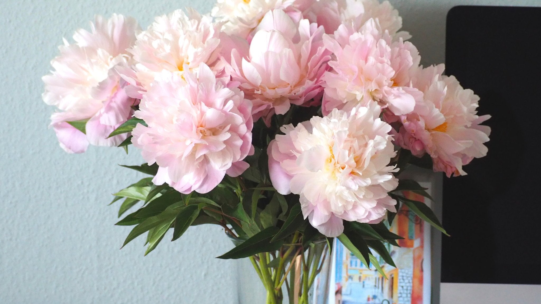 Zo blijven bloemen lang mooi in een vaas - Clay & Roots
