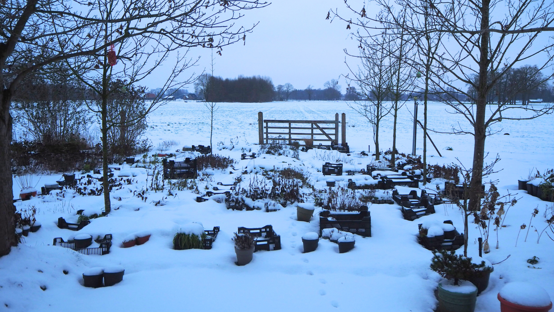 Rust in huis en op de kwekerij - Marc's update