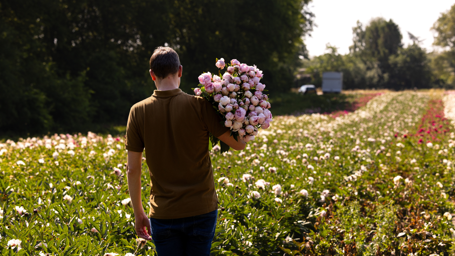5 pioenrozen om van te plukken