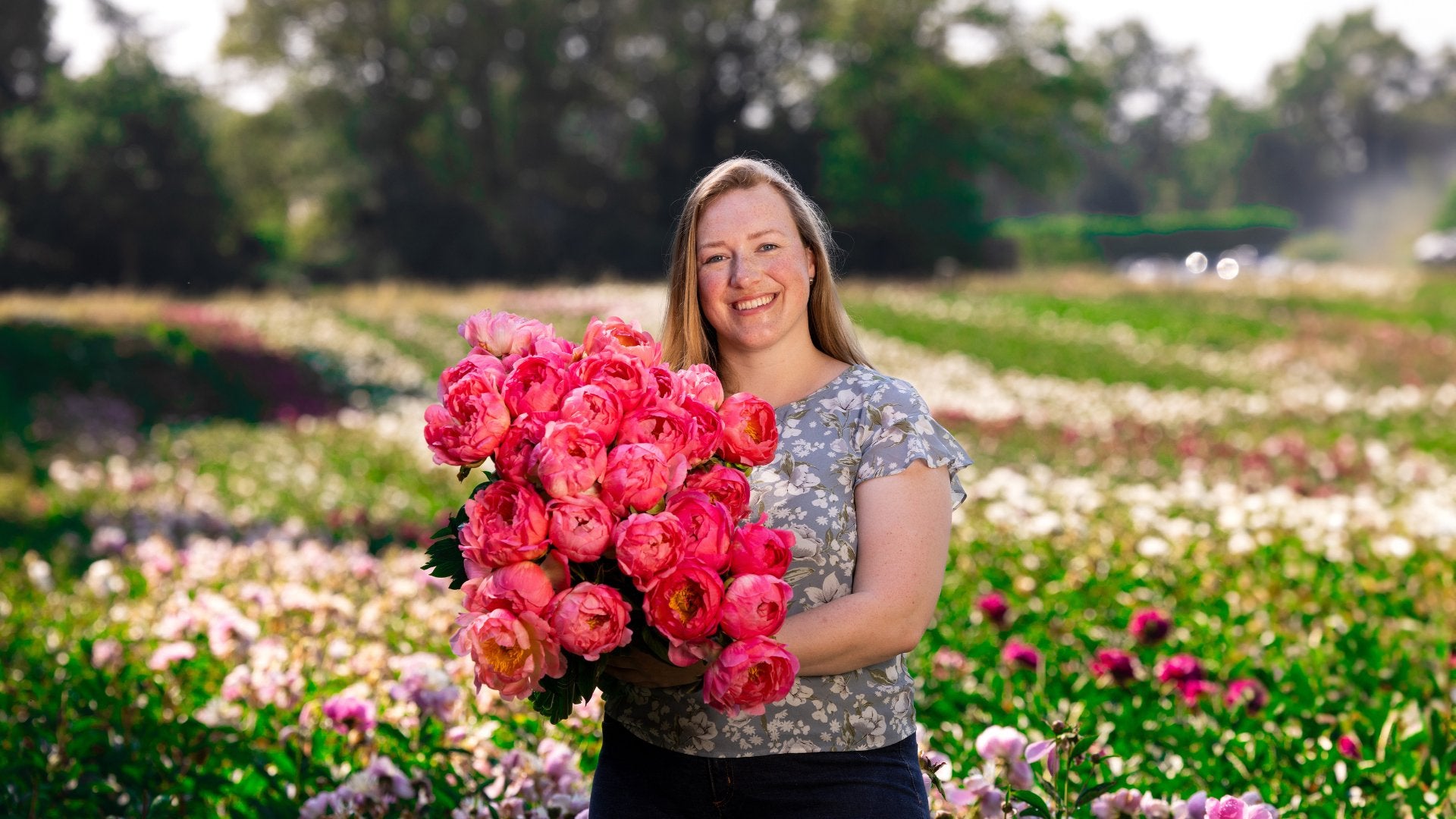Pioenrozen in de pluktuin