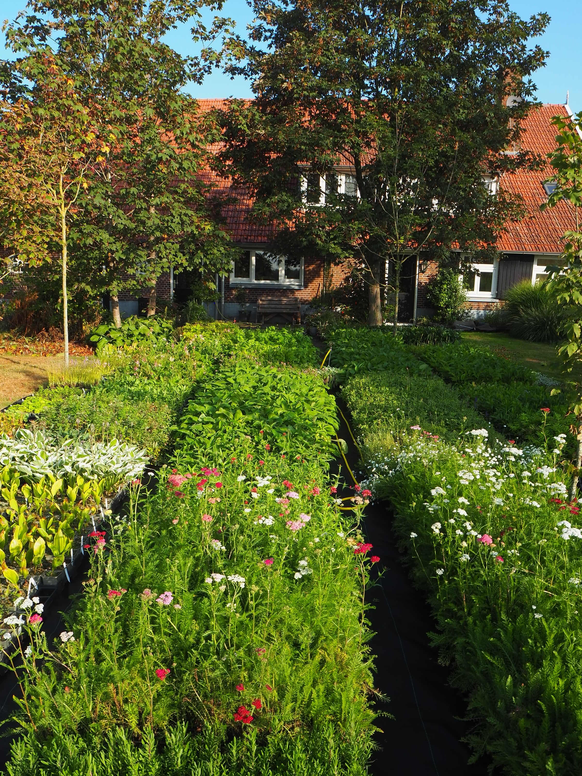 Wij zijn verhuisd! Een persoonlijke update