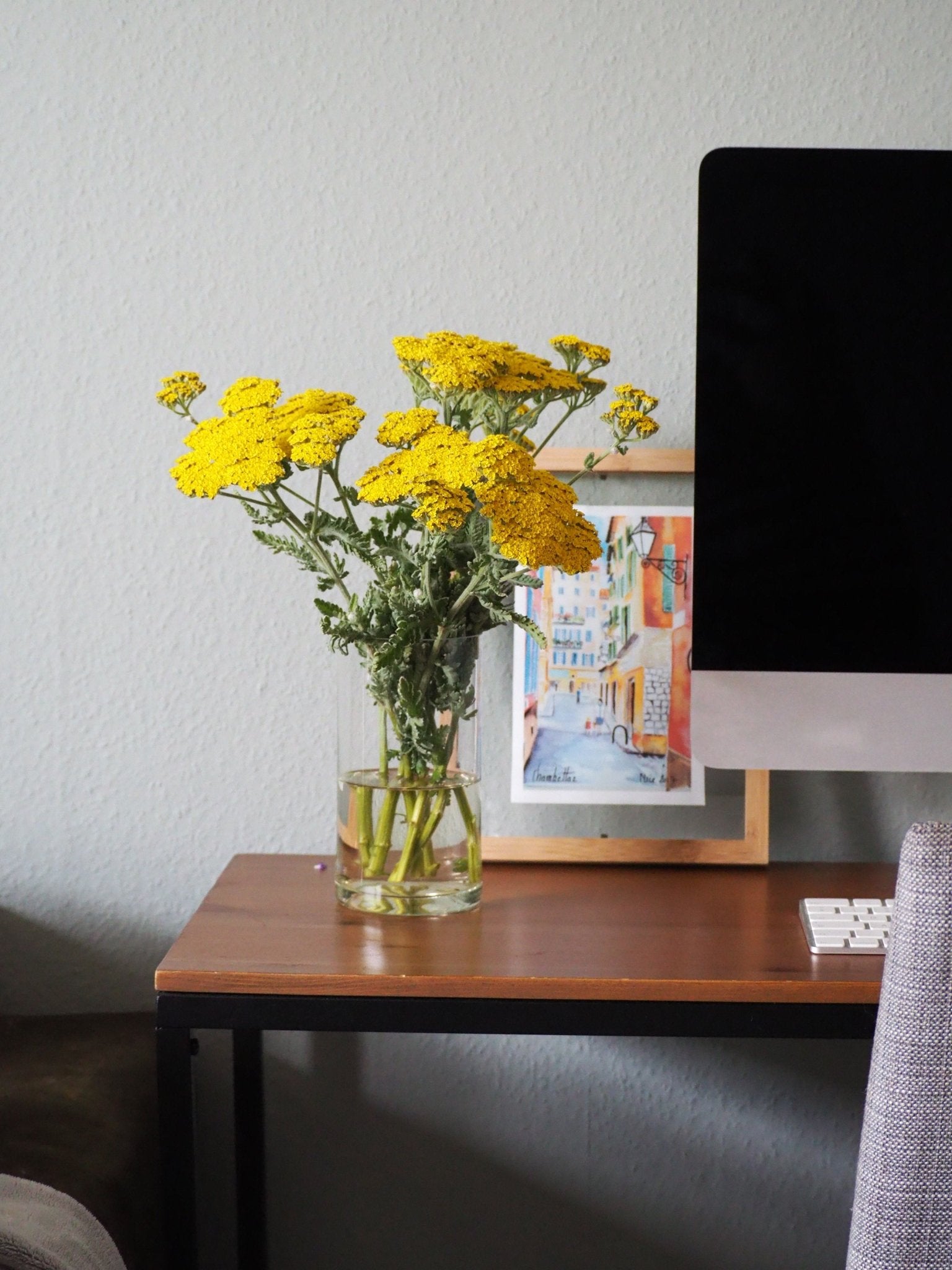 Alles over de Duizendblad - Clay & Roots