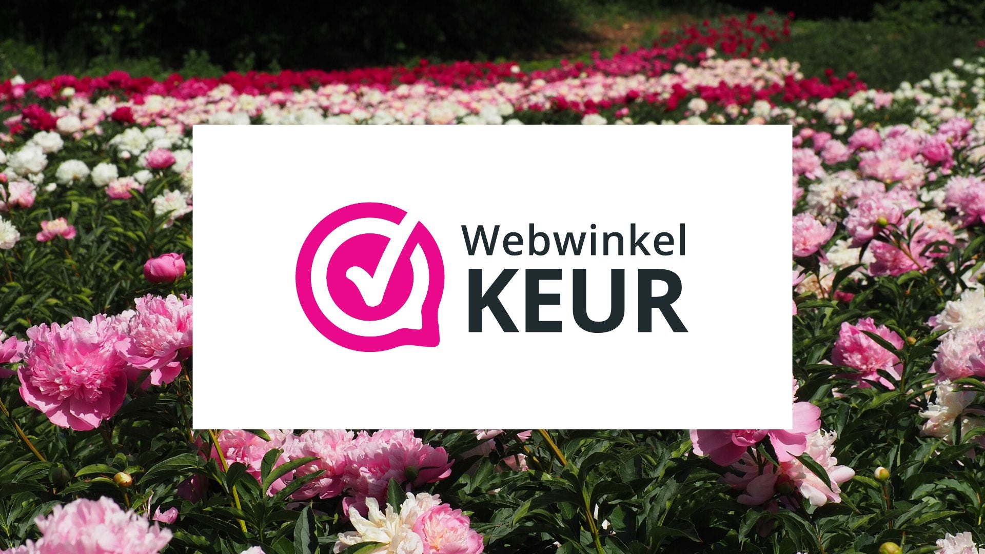 Clay & Roots is aangesloten bij Webwinkelkeur - Clay & Roots