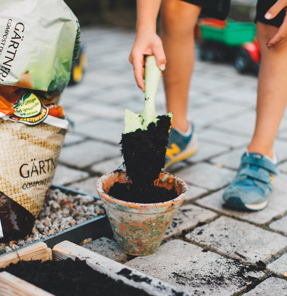 Geniet van je tuin in ieder seizoen - Clay & Roots