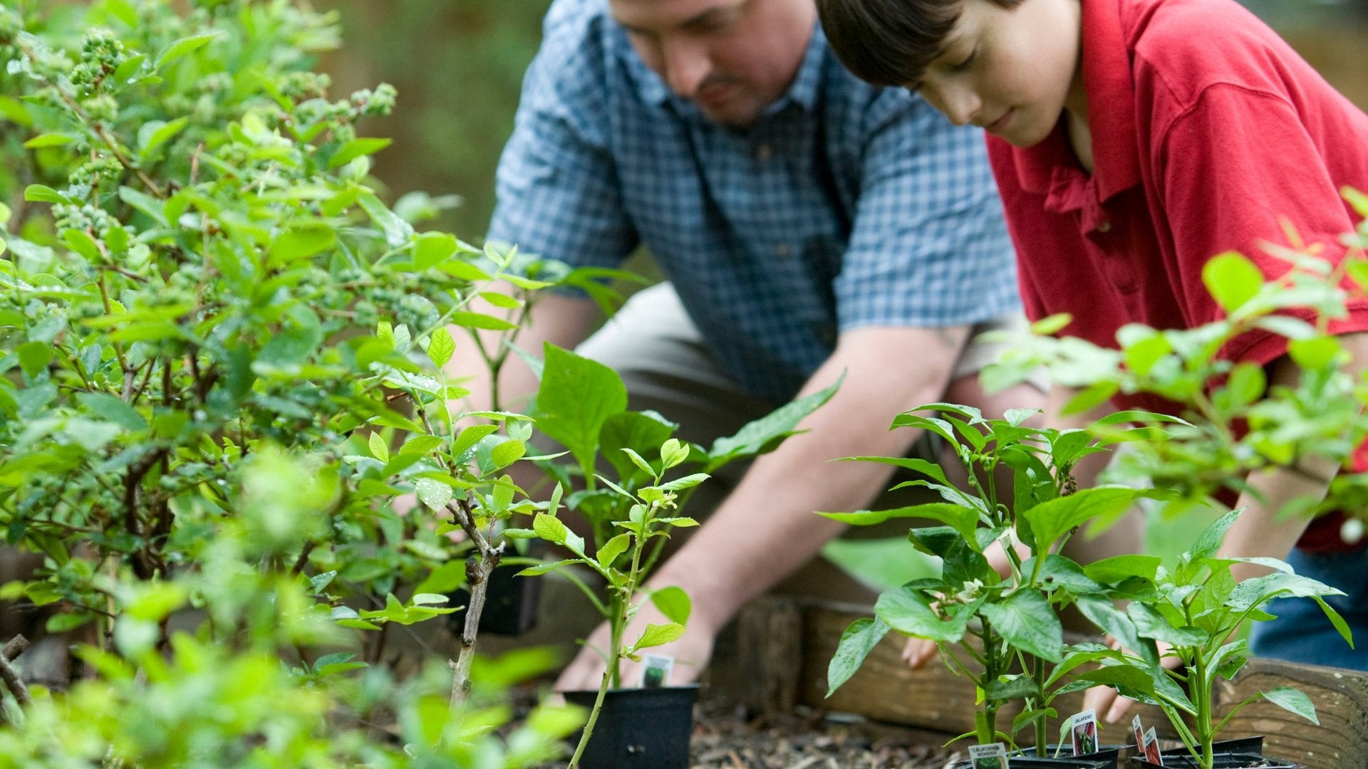 Het beste moment om nieuwe planten in je tuin te plaatsen - Clay & Roots