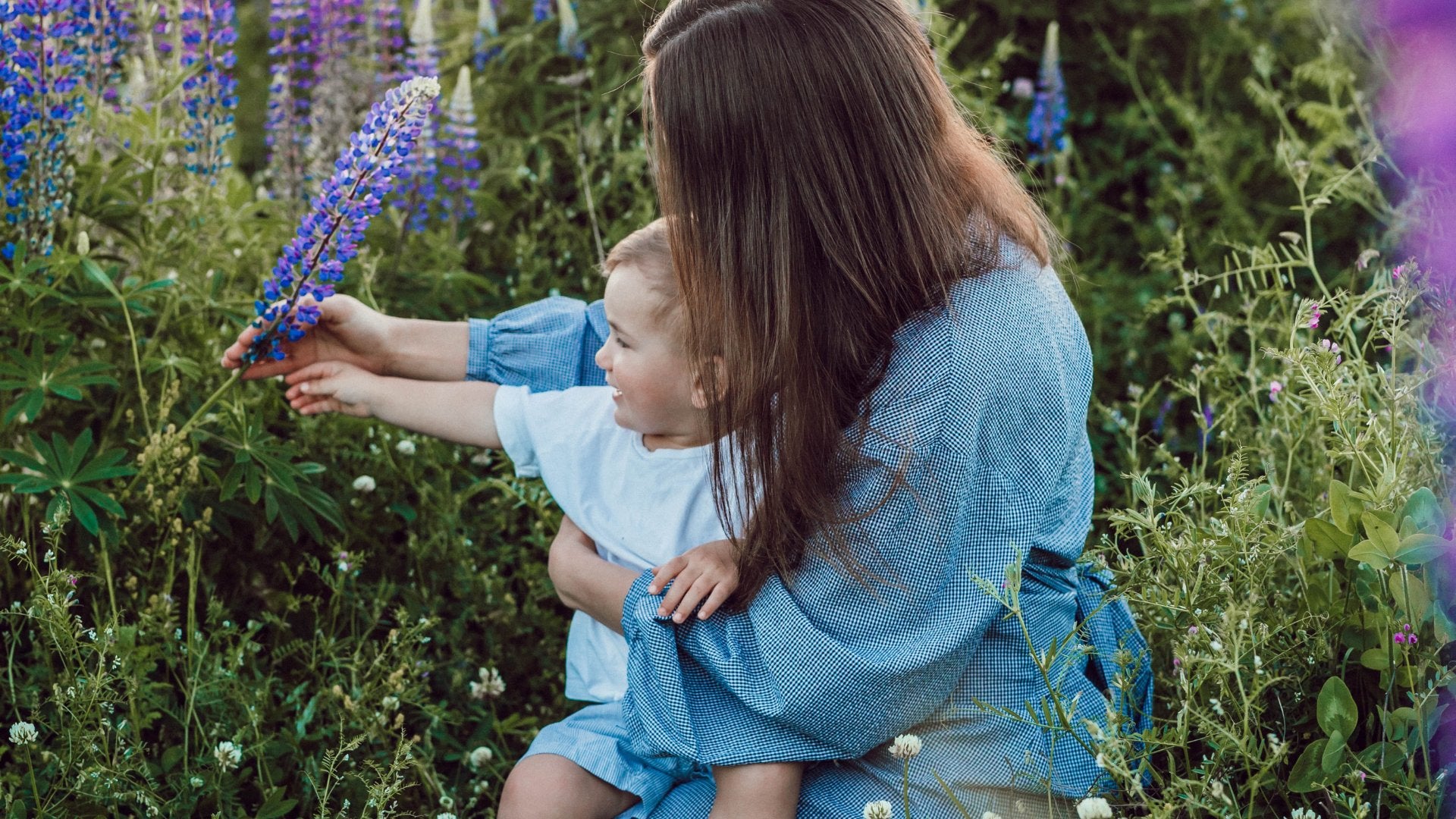 Je tuin in augustus - Clay & Roots