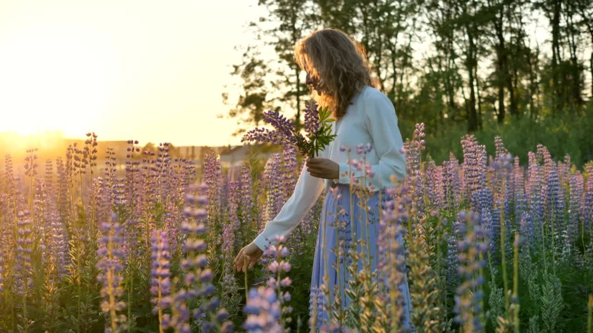Jouw pluktuin beginnen met bloeiende vaste planten - Clay & Roots