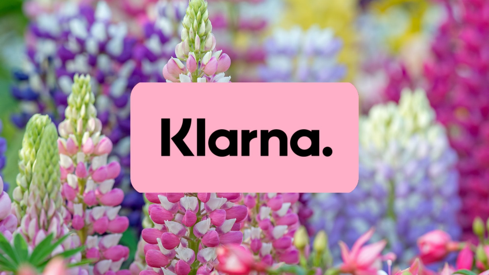 Klarna bij Clay & Roots - Clay & Roots