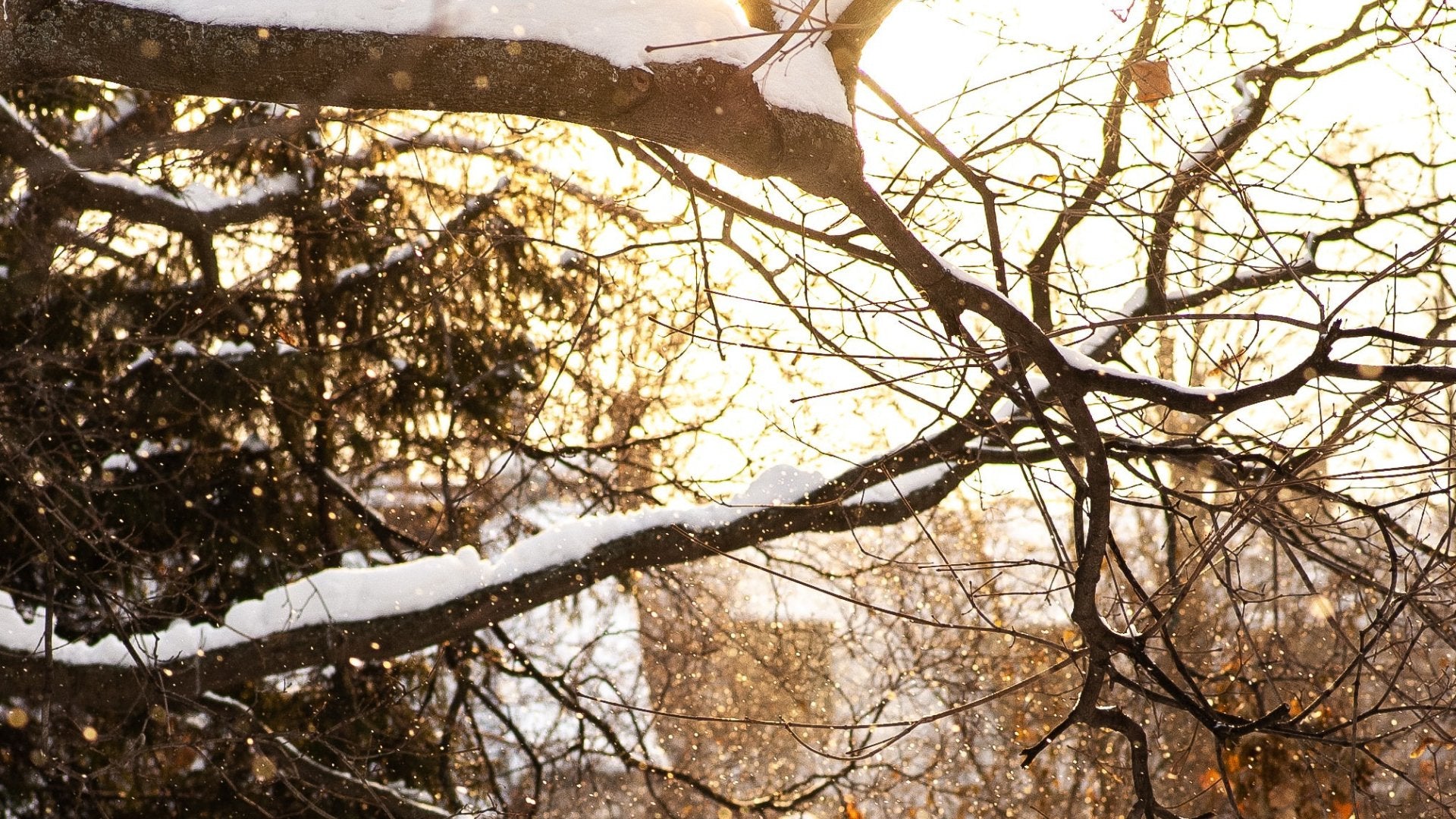 Tuinieren in december - Clay & Roots