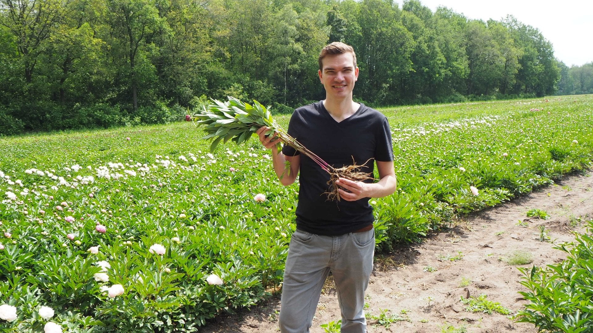 Wanneer is het beste moment om vaste planten te planten? - Clay & Roots