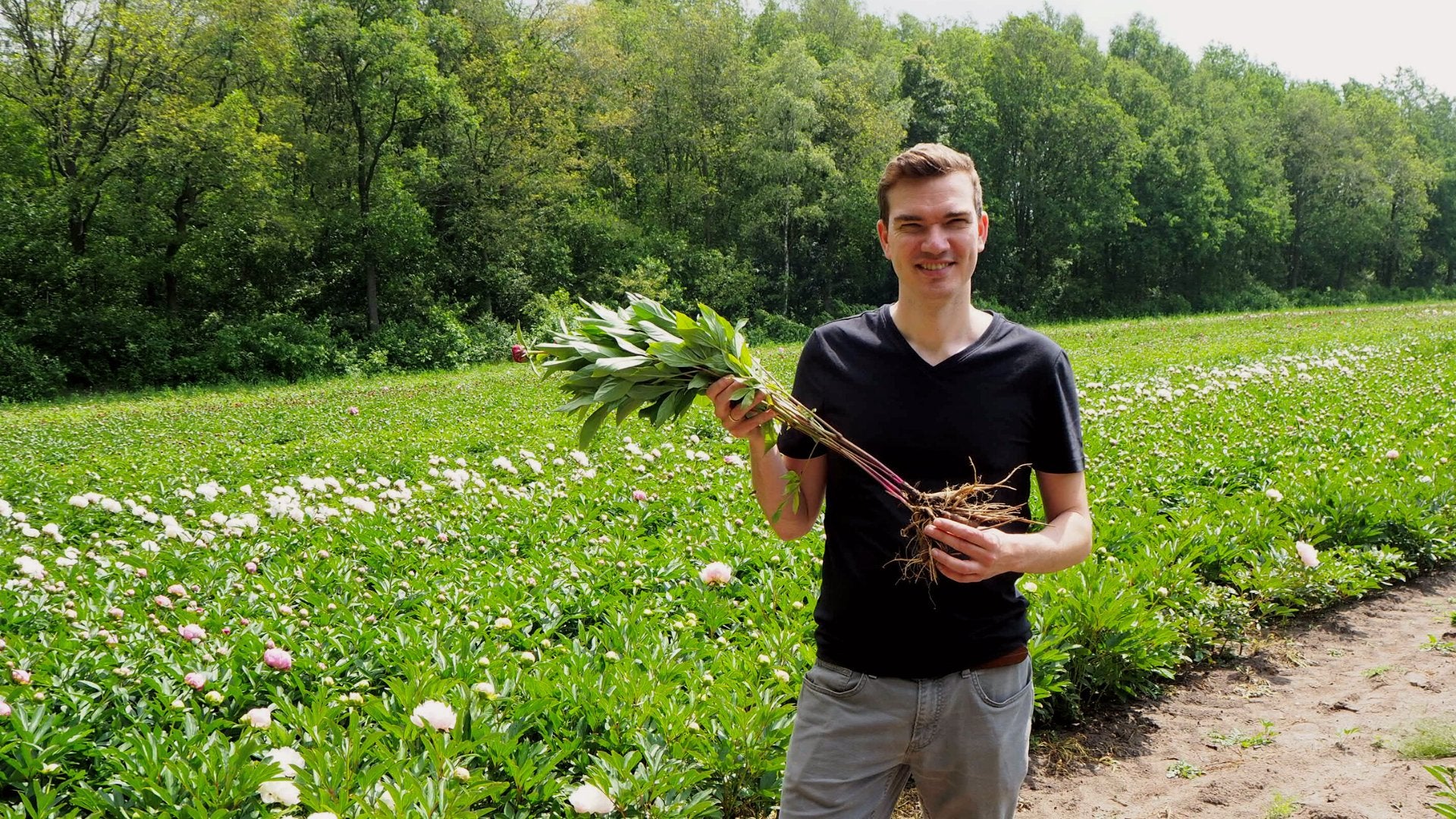 Zo beoordeel je online de volwassenheid van een pioenrozenplant - Clay & Roots
