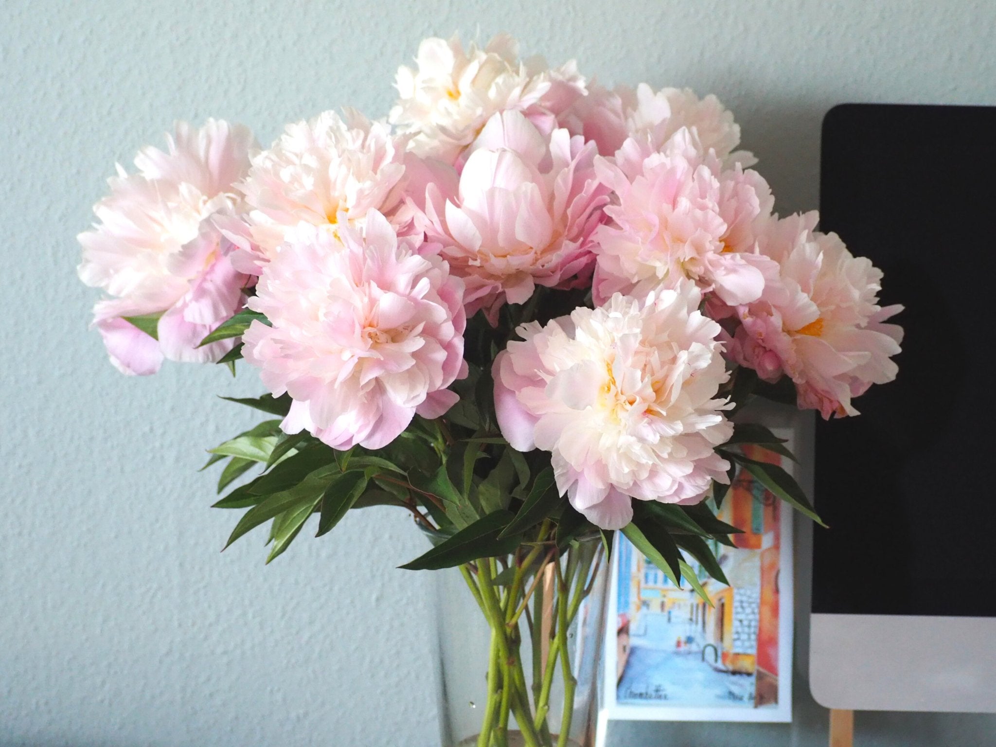 Zo blijven bloemen lang mooi in een vaas - Clay & Roots