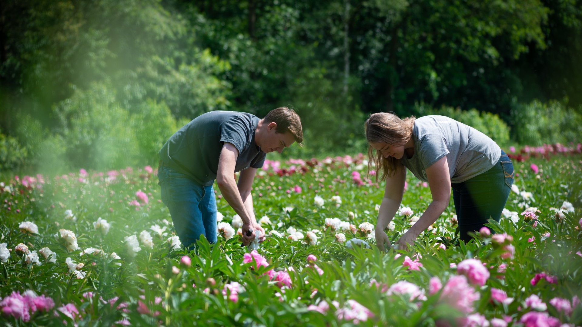 Te bestellen vanaf januari (levering februari/maart) - Clay & Roots