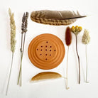 Droogbloemenhouder Terracotta - Clay & Roots - van de kwekerij