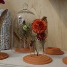 Droogbloemenhouder Terracotta - Clay & Roots - van de kwekerij