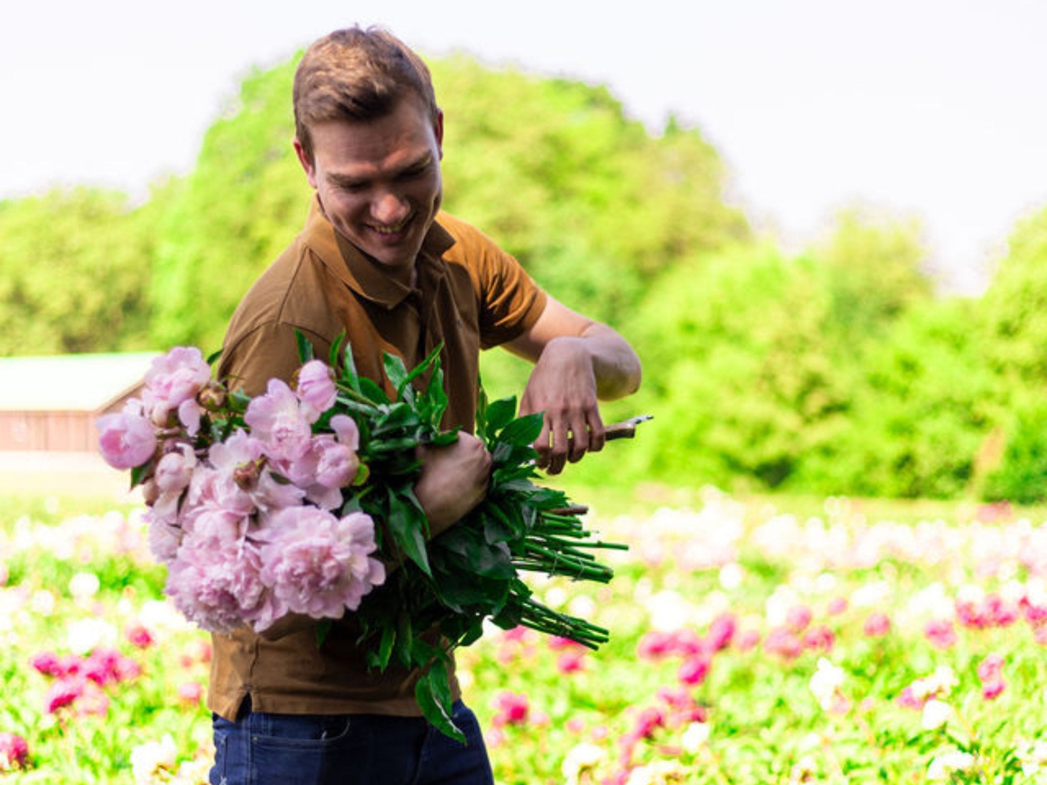 Pioenroos Alertie - Clay & Roots - van de kwekerij