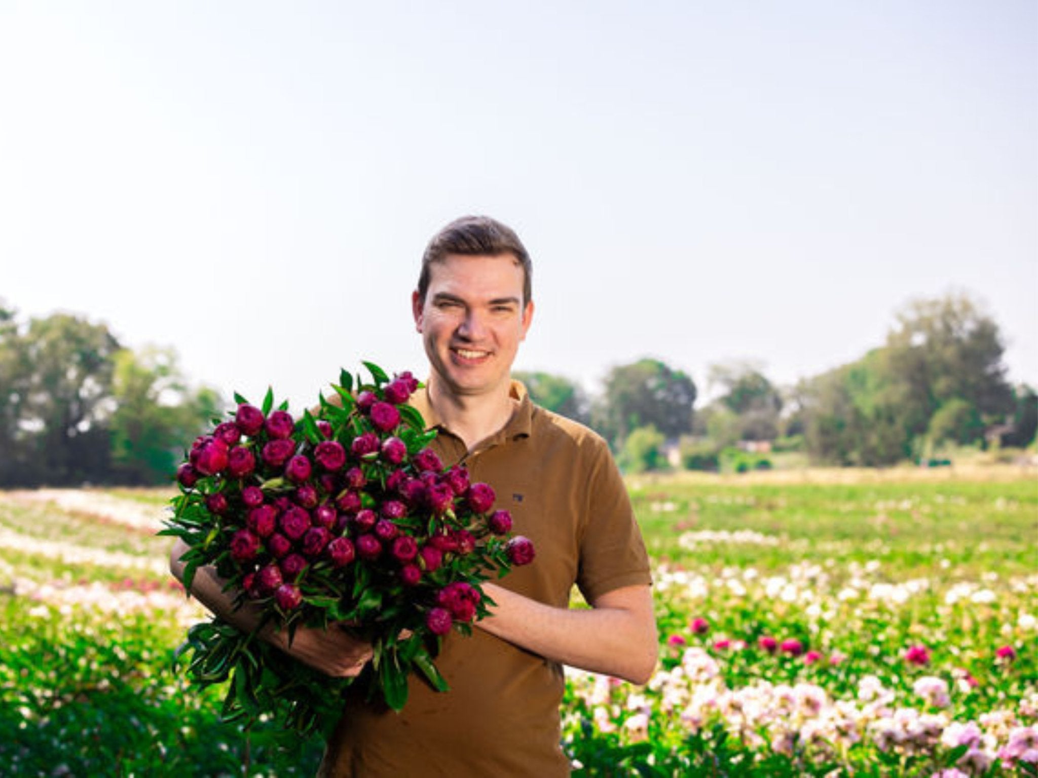 Pioenroos Paul M. Wild - Clay & Roots - van de kwekerij